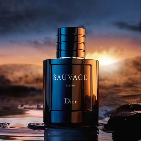 dior sauvage elixir 100ml sephora|sauvage elixir 100ml best price.